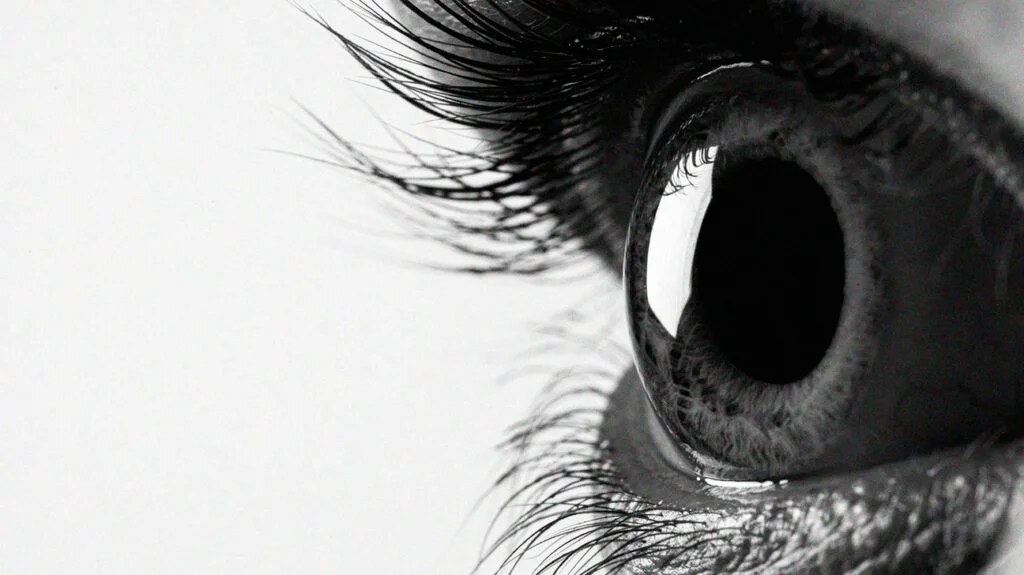 black and white close-up photo of a human eye