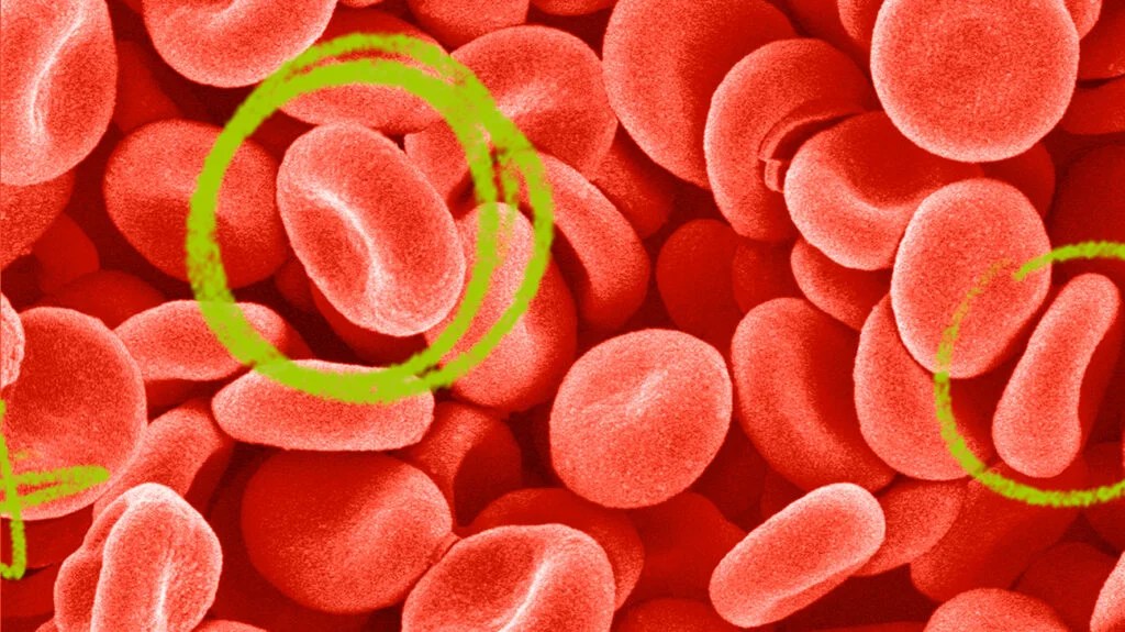 green circles around hemoglobin blood cells 